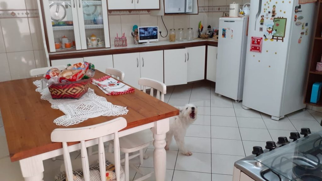 Casa térrea, Vila Melo, São Vicente - SP